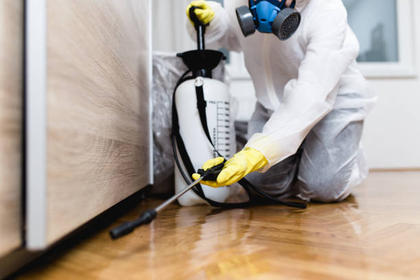 Best Residential Pest Control  in Pacifi, CA