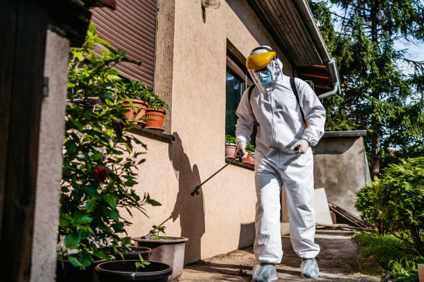 Best Flea Control Services  in Pacifi, CA