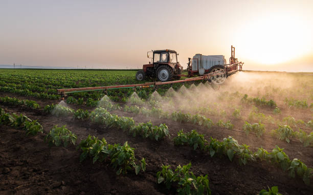 Best Mosquito Control Services  in Pacifi, CA