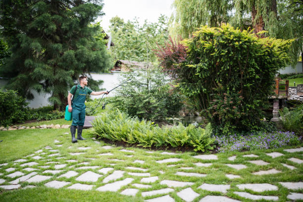 Best Ant Control Services  in Pacifi, CA