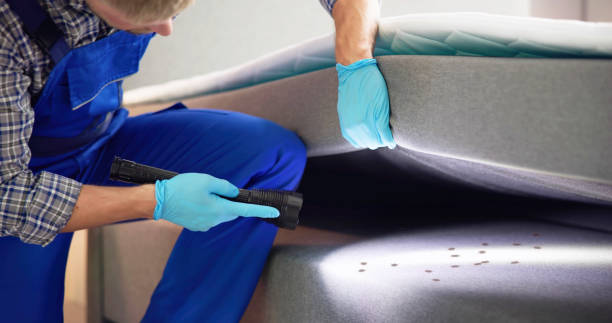 Best Local Pest Control Services  in Pacifi, CA