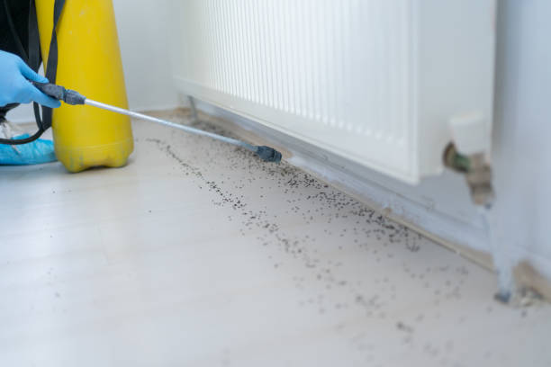 Best Pest Inspection Near Me  in Pacifi, CA