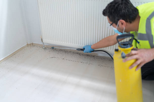 Best Affordable Pest Control Services  in Pacifi, CA