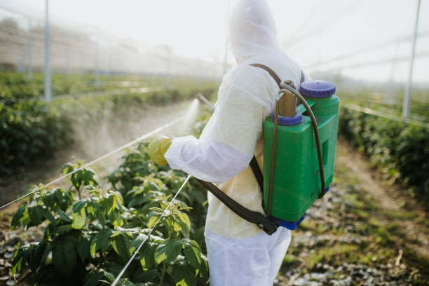 Best Wildlife Control Services  in Pacifi, CA